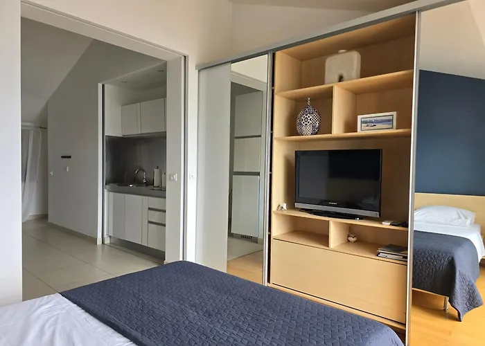 Oliva * توراني